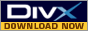 Logo Divx
