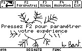 Ava89 - Xp